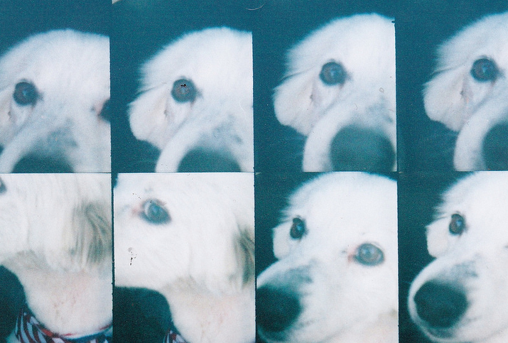 Screen Shot 2018-01-11 at 2.51.41 AM.png