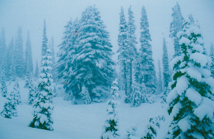 Screen Shot 2018-01-11 at 3.03.55 AM.png