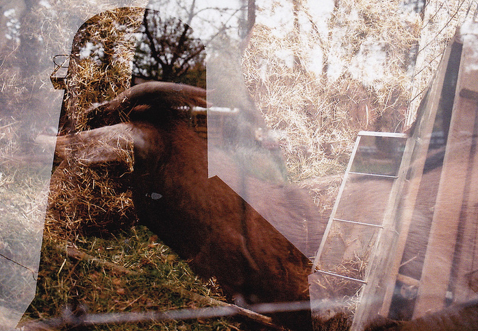 Screen Shot 2018-01-11 at 3.19.29 AM.png