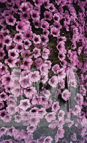 Screen Shot 2018-01-11 at 3.23.23 AM.png