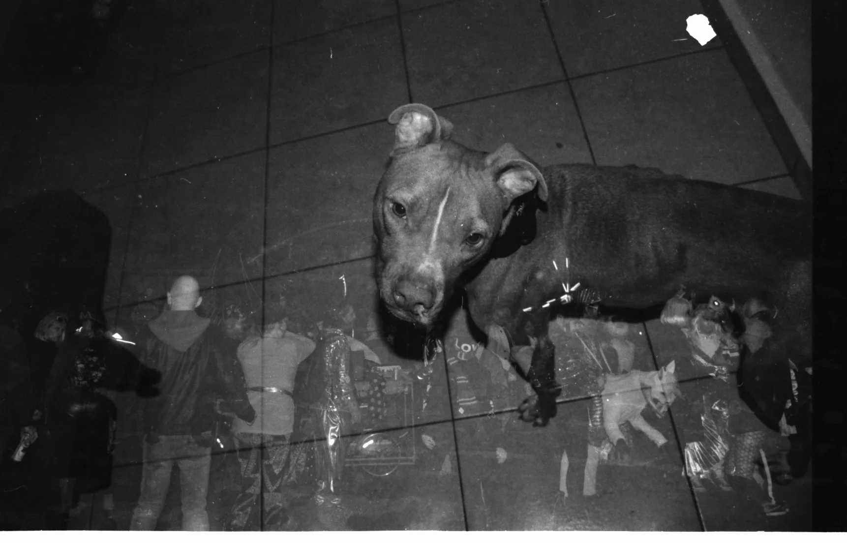 Austyn Film 4 11.jpeg