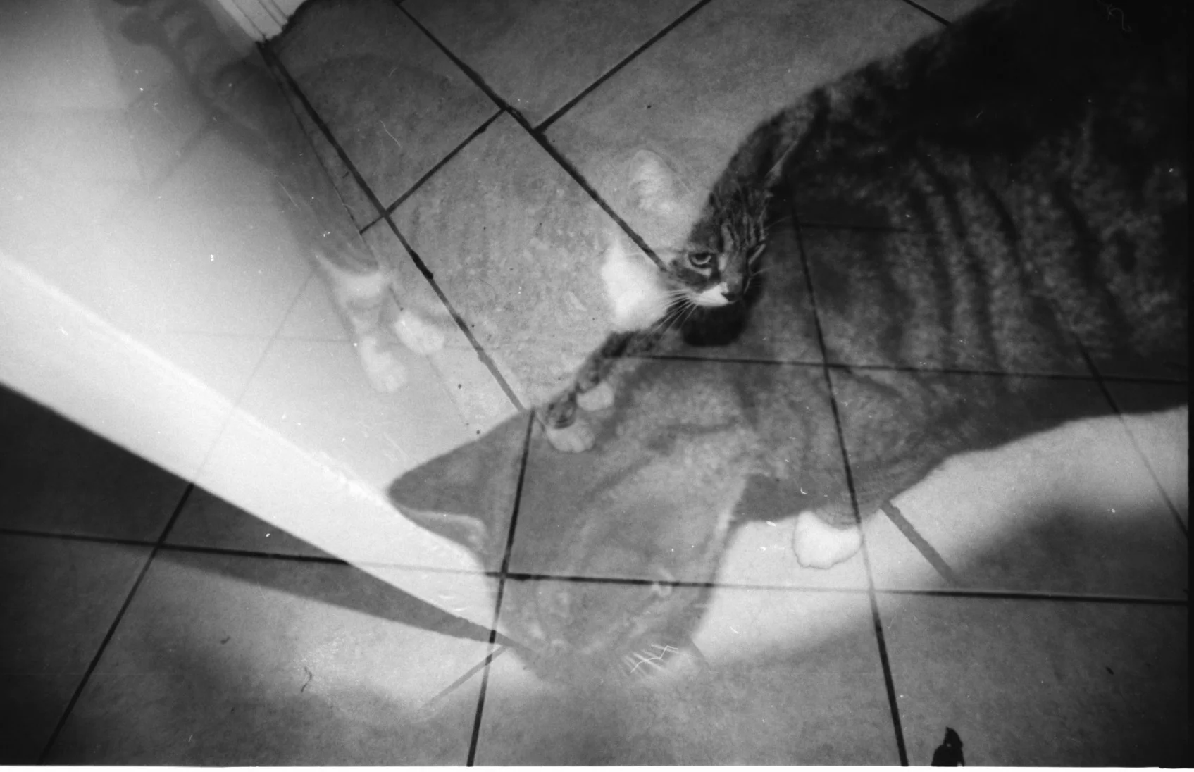 Austyn Film 11 1.jpeg