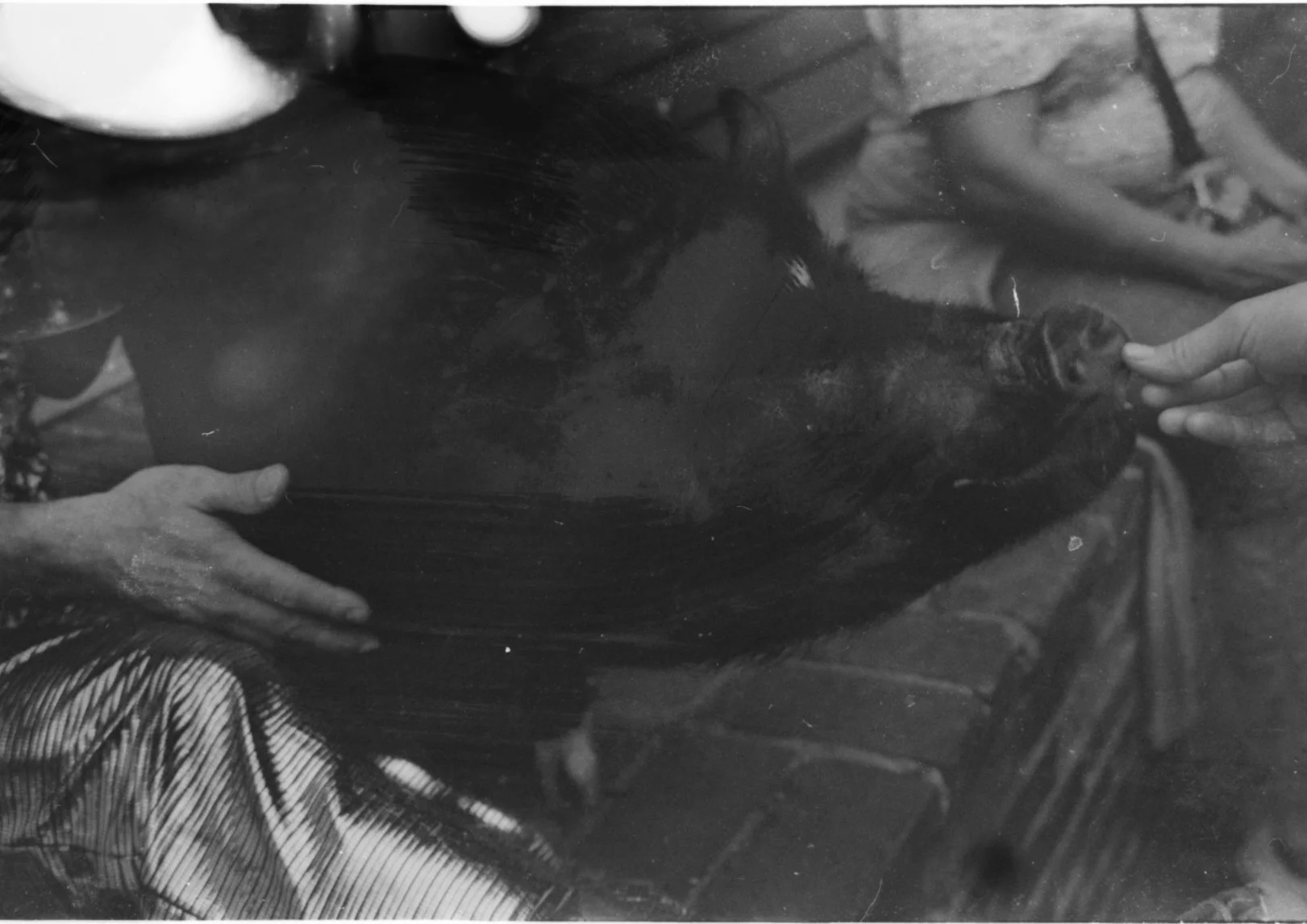 Austyn Film 2 5.jpeg