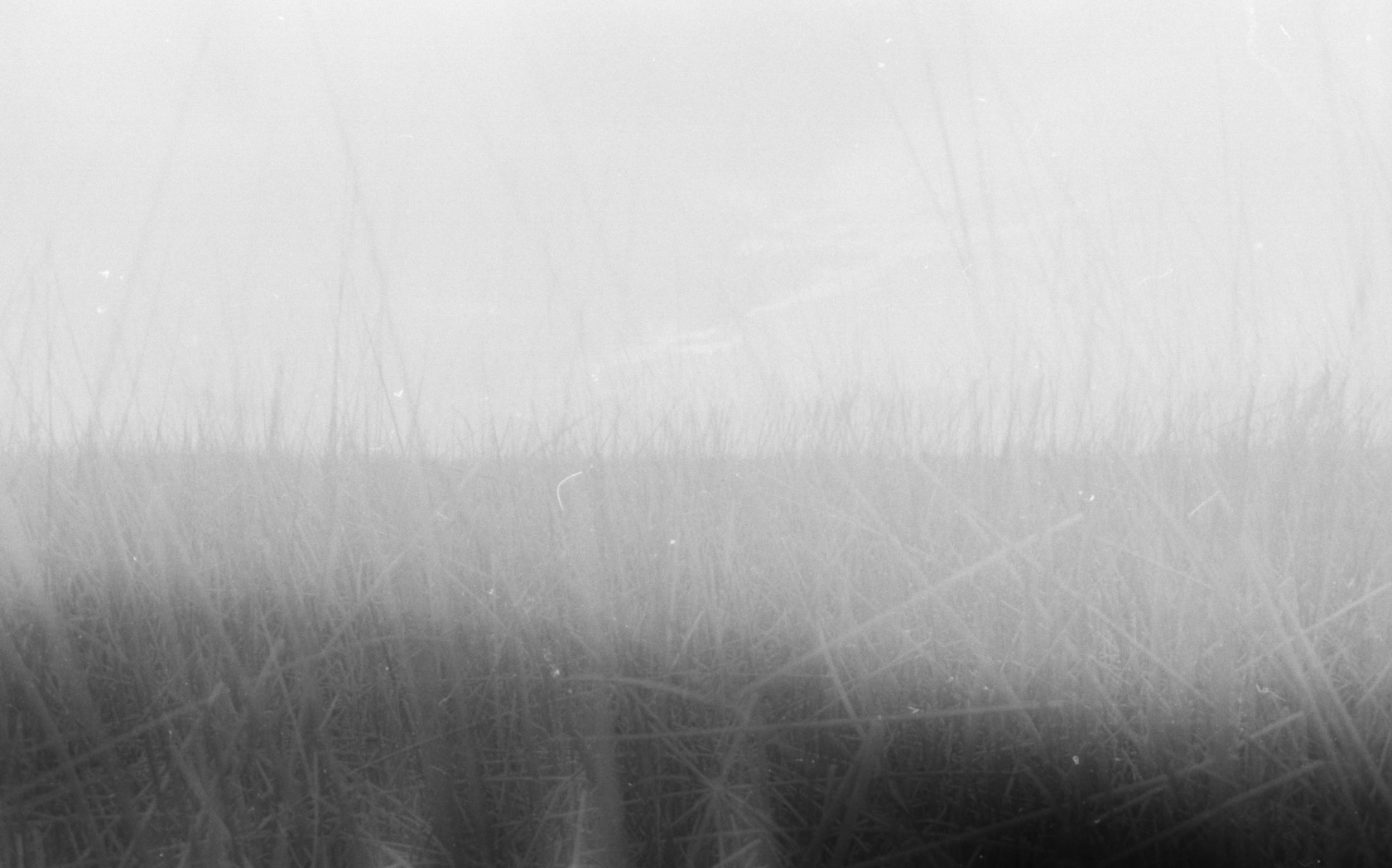 Austyn Film 10 3.jpeg