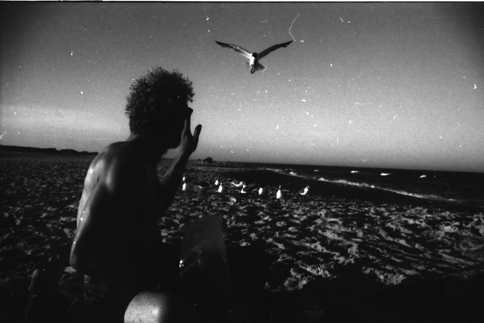 Austyn Film 9 1.jpeg