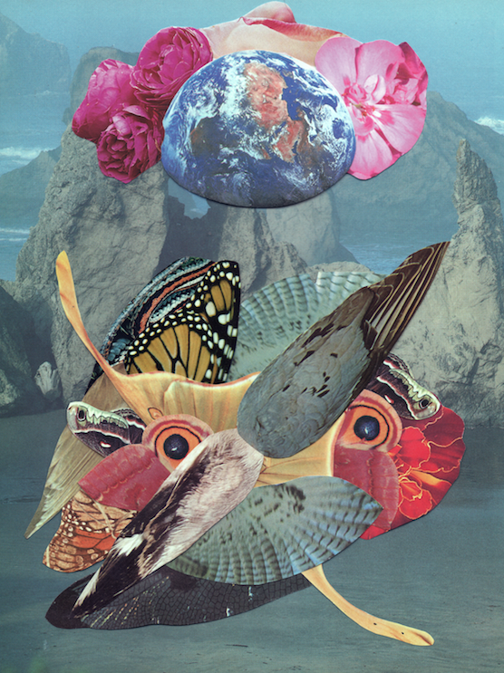 Tangled Wings of Earth's Flowers 