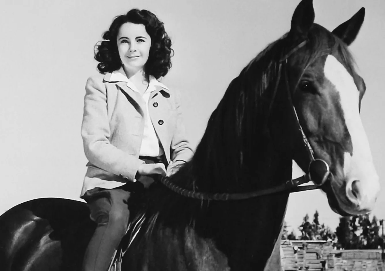 NationalVelvet.jpg