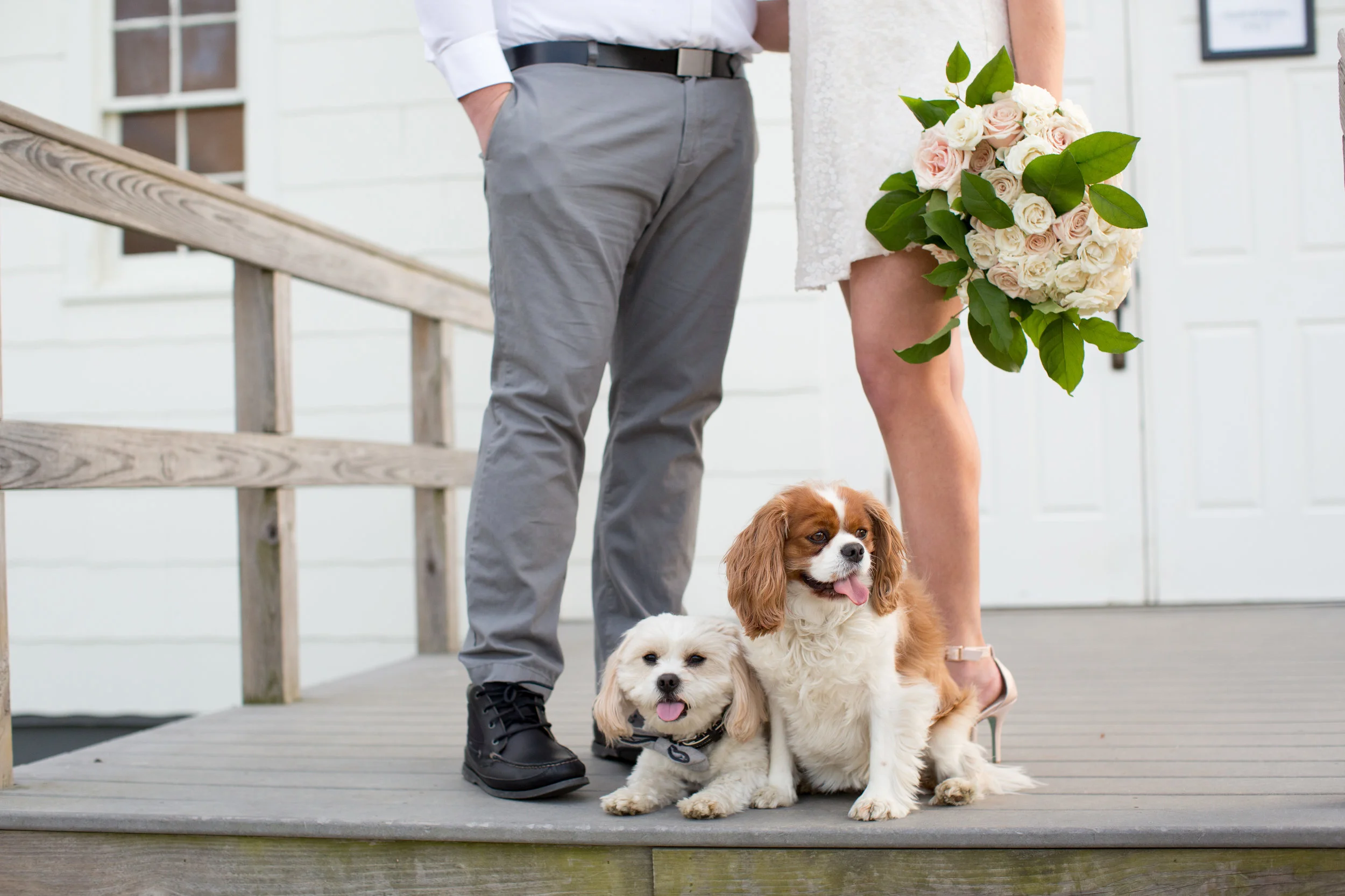 DanielleBryanEngaged-91.jpg