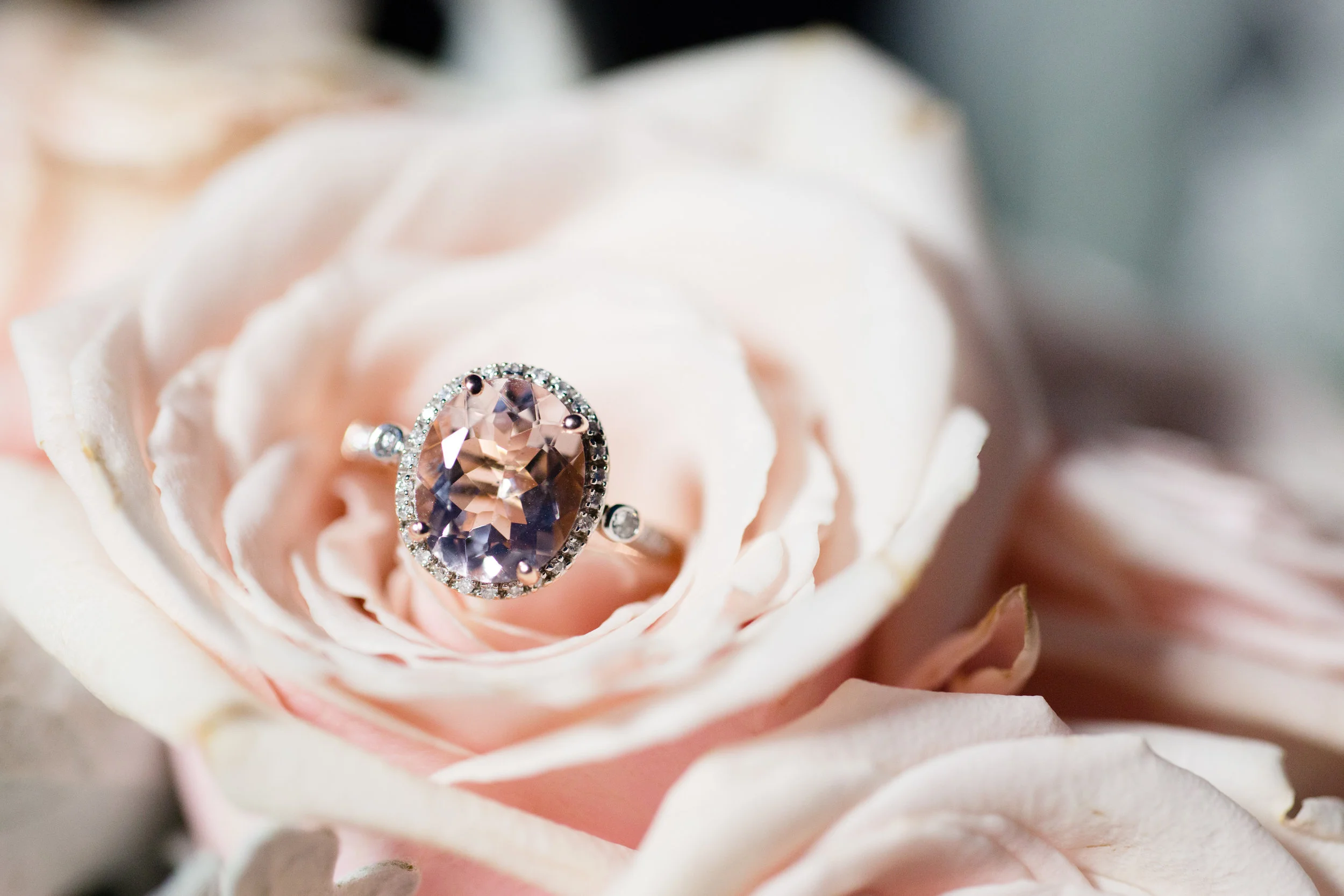 DanielleBryanEngaged-181.jpg