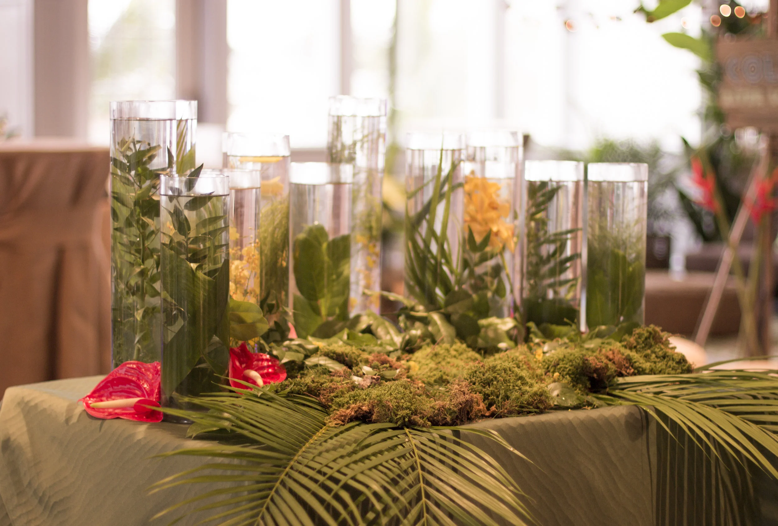 jungle themed candle lighting for amazon jungle themed mitzvah