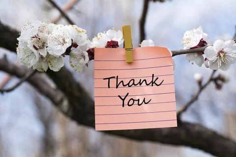Thank you!