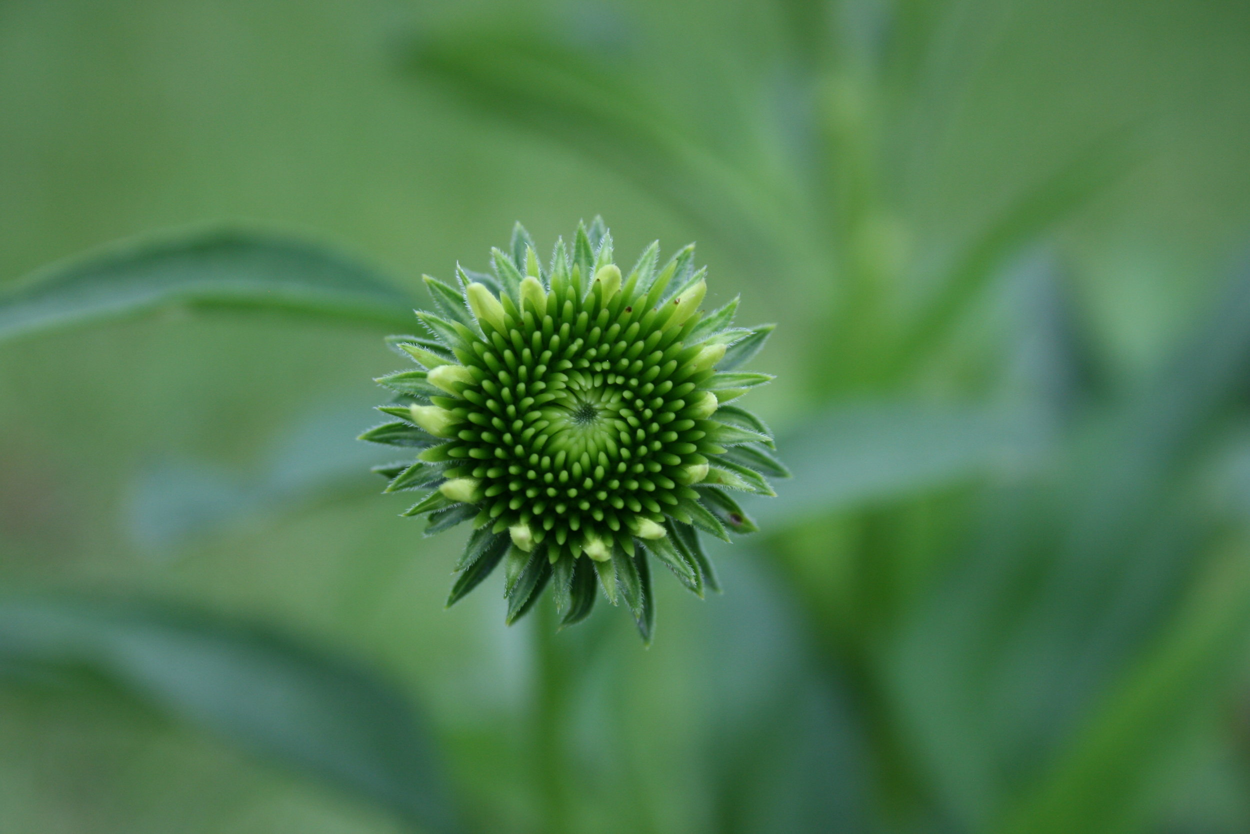 Look for an Increase in Blogging!