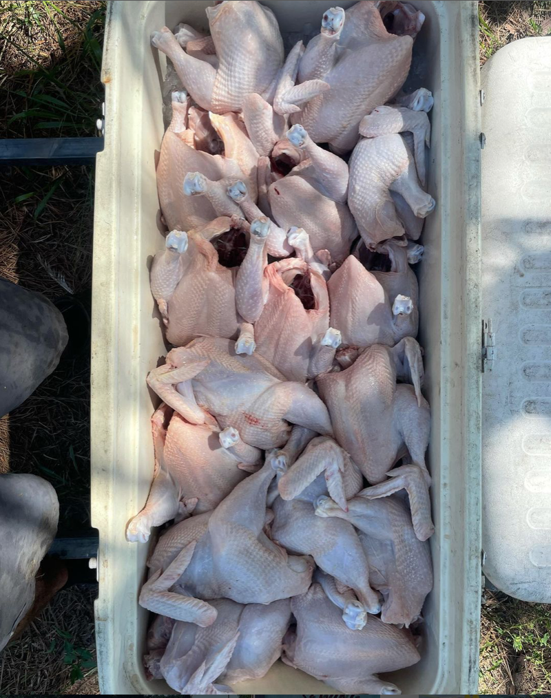 A Farmer's Perspective: Brandon Chonko of Grassroots Farms