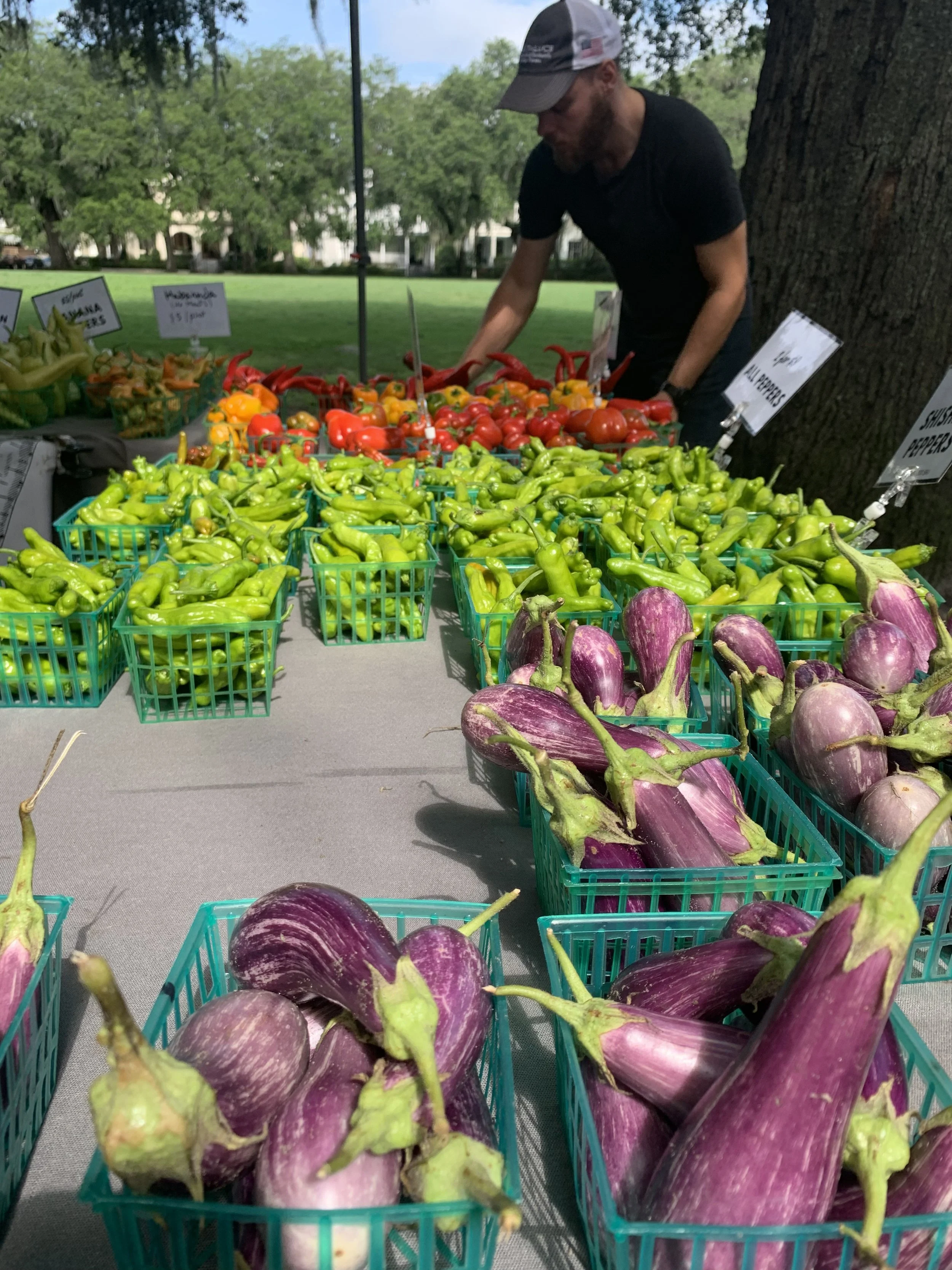 chefs table farmers market.jpg