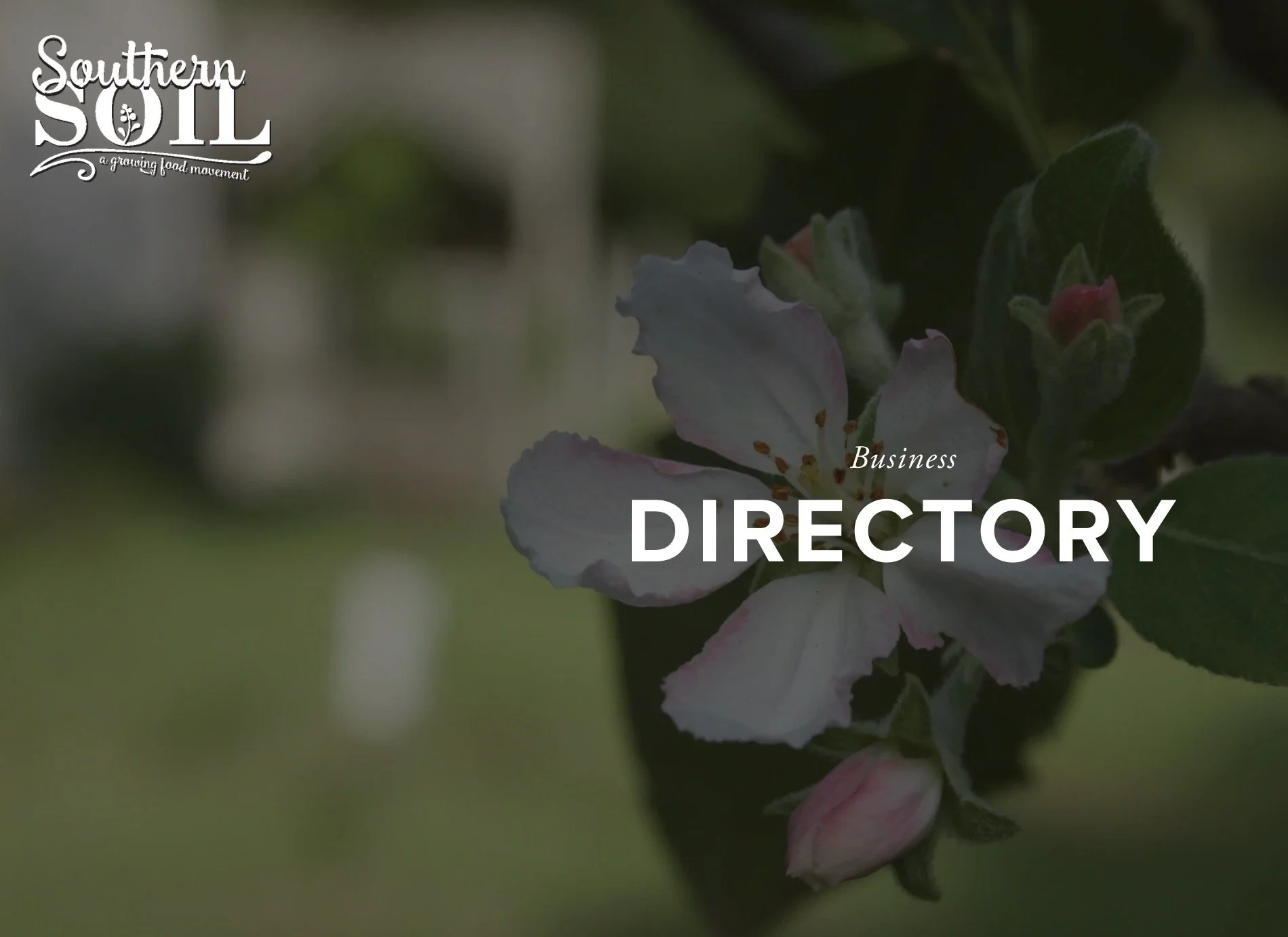 It is my goal to have SouthernSoil.org be THE online destination for our local food community here in Southeast Georgia. A digital platform for information, inspiration and collaboration! And I need your help! Currently, I am working on updating the 