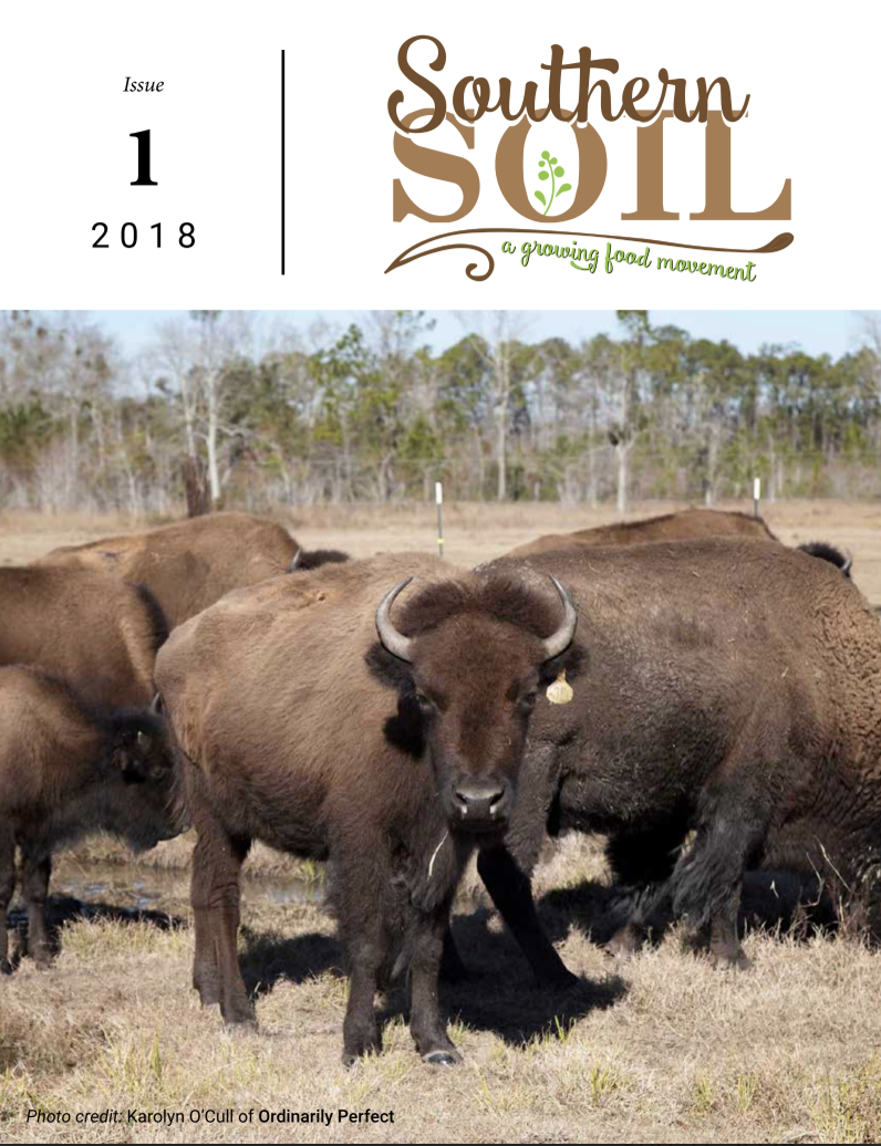 Southern Soil Issue #1 0f 2018, buffalo