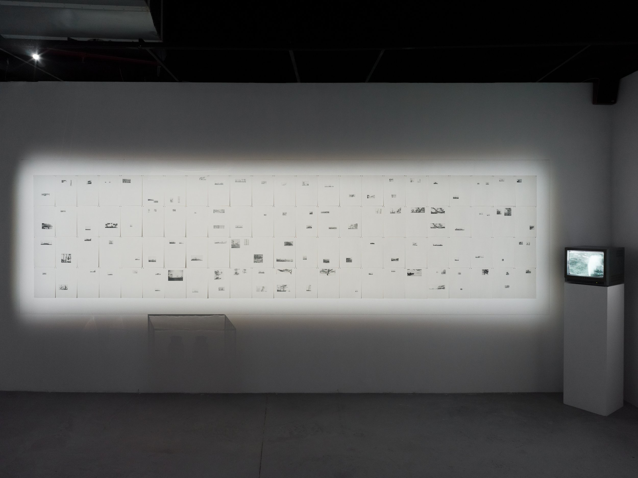   Nameless Trees  +  A Pacific Storm   (Installation View)  Two-layer photographic installation.  16mm film transferred to digital video, black and white, displayed on CRT monitor.  Jimei x Arles International Photo Festival, Xiamen, China   https://