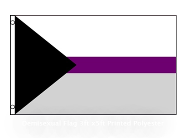 Demisexual Flag.PNG
