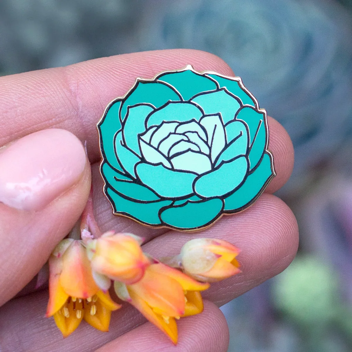 botanical-bright-imbricata-green-blue-succulent-enamel-pin-8.webp