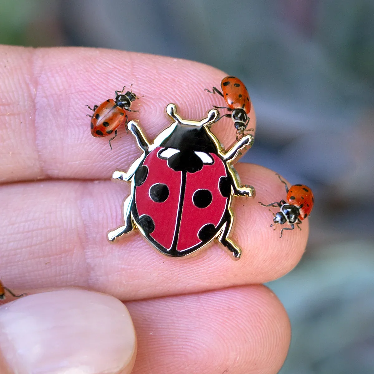 Botanical-Bright-Ladybug-Enamel-Pin-New-5_1200x1200.webp