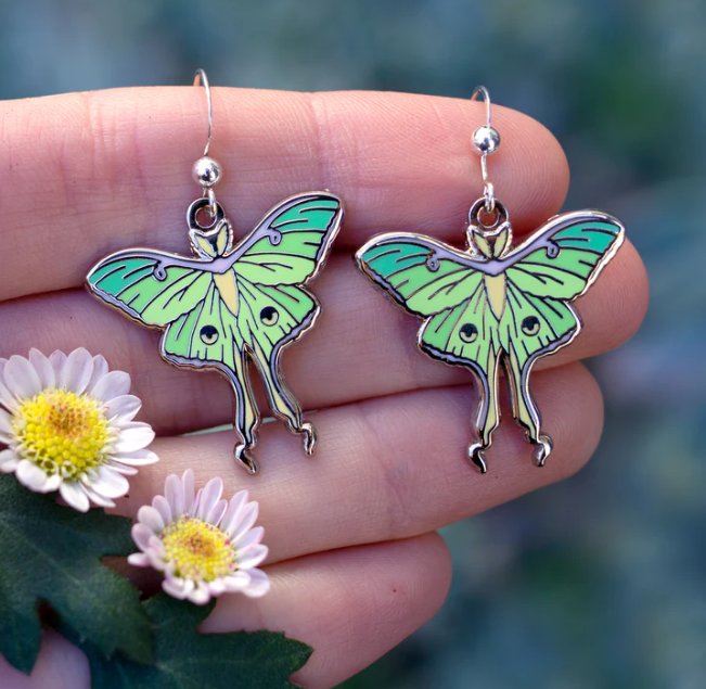 Screenshot 2026-02-28 185833.png