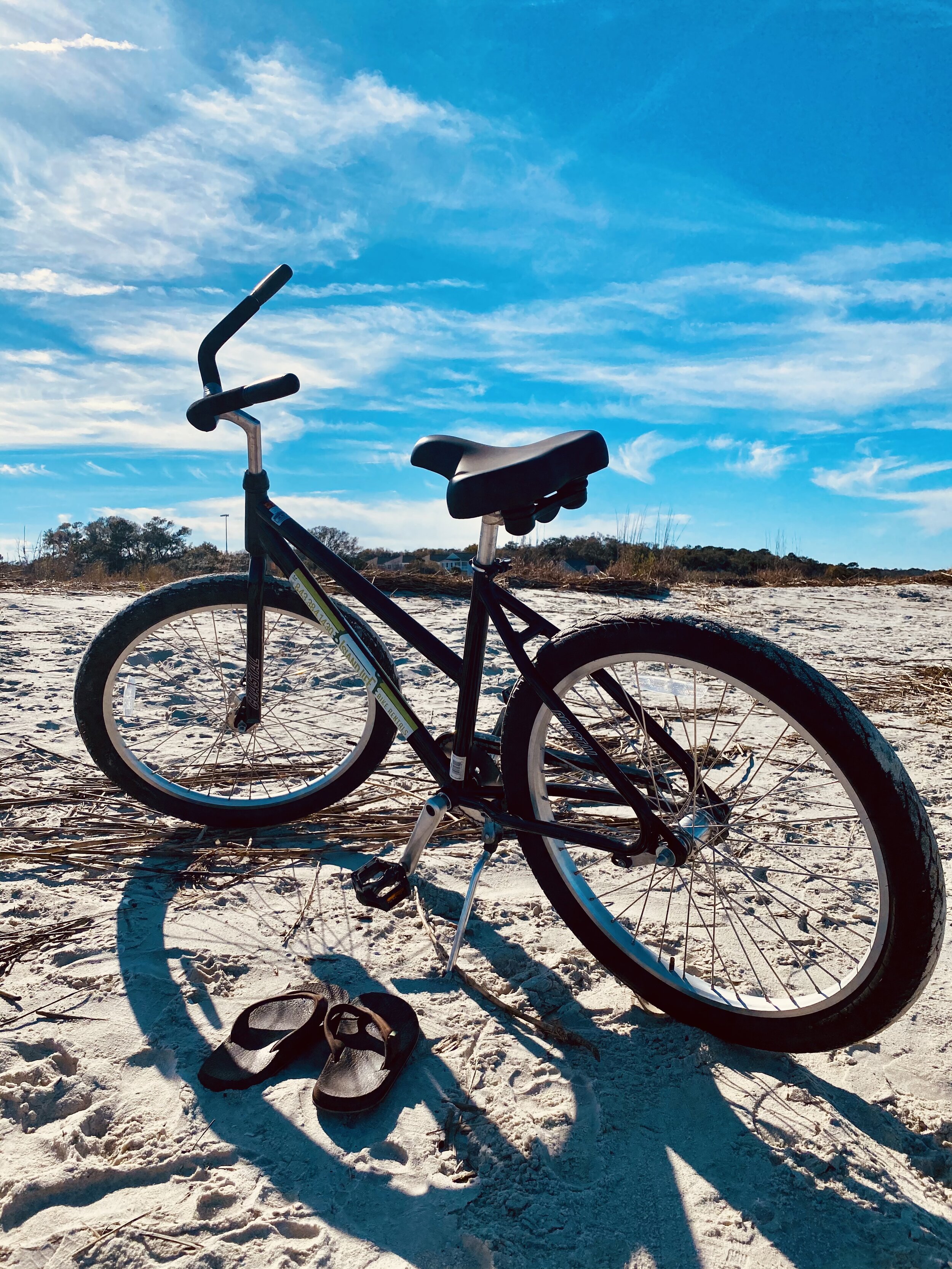 Beach Cruising