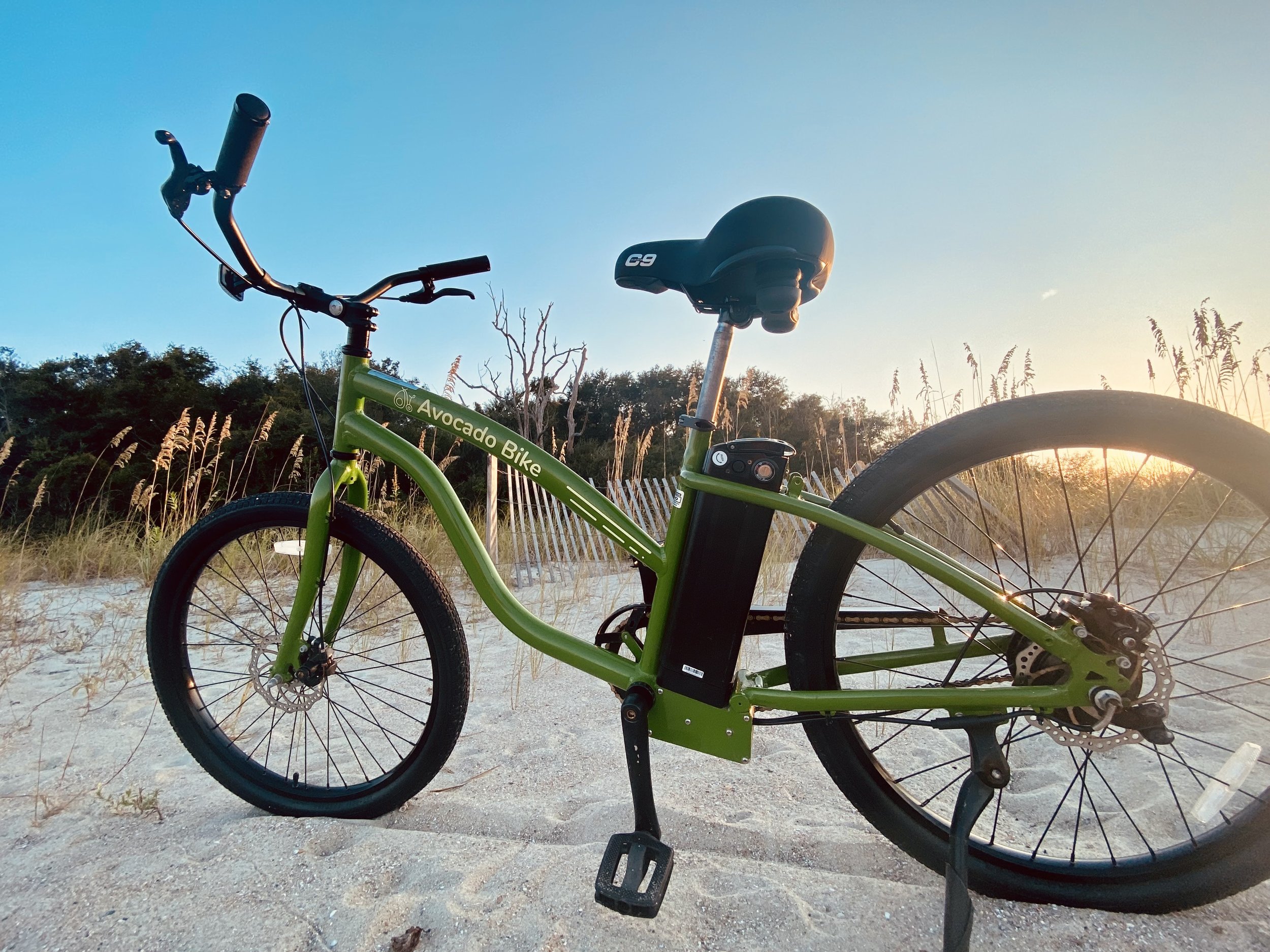 Electric Bike Rental