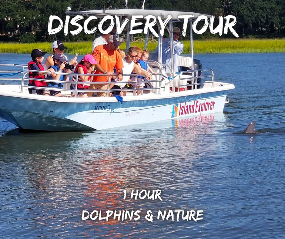 Island Life Bike Rentals | Hilton Head Bike Rentals