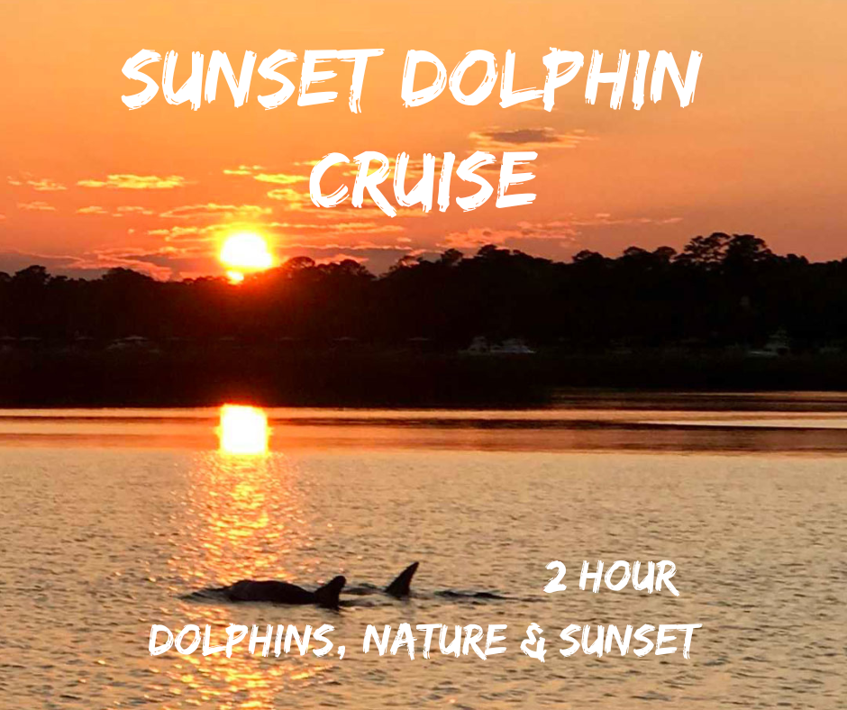 Island Life Bike Rentals Hilton Head Bike Rentals