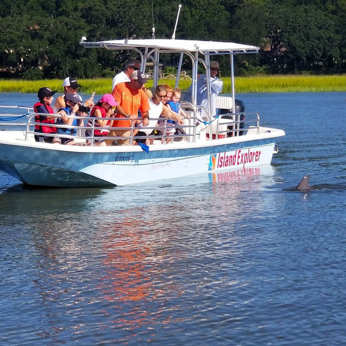 Dolphin Tour Broad Creek