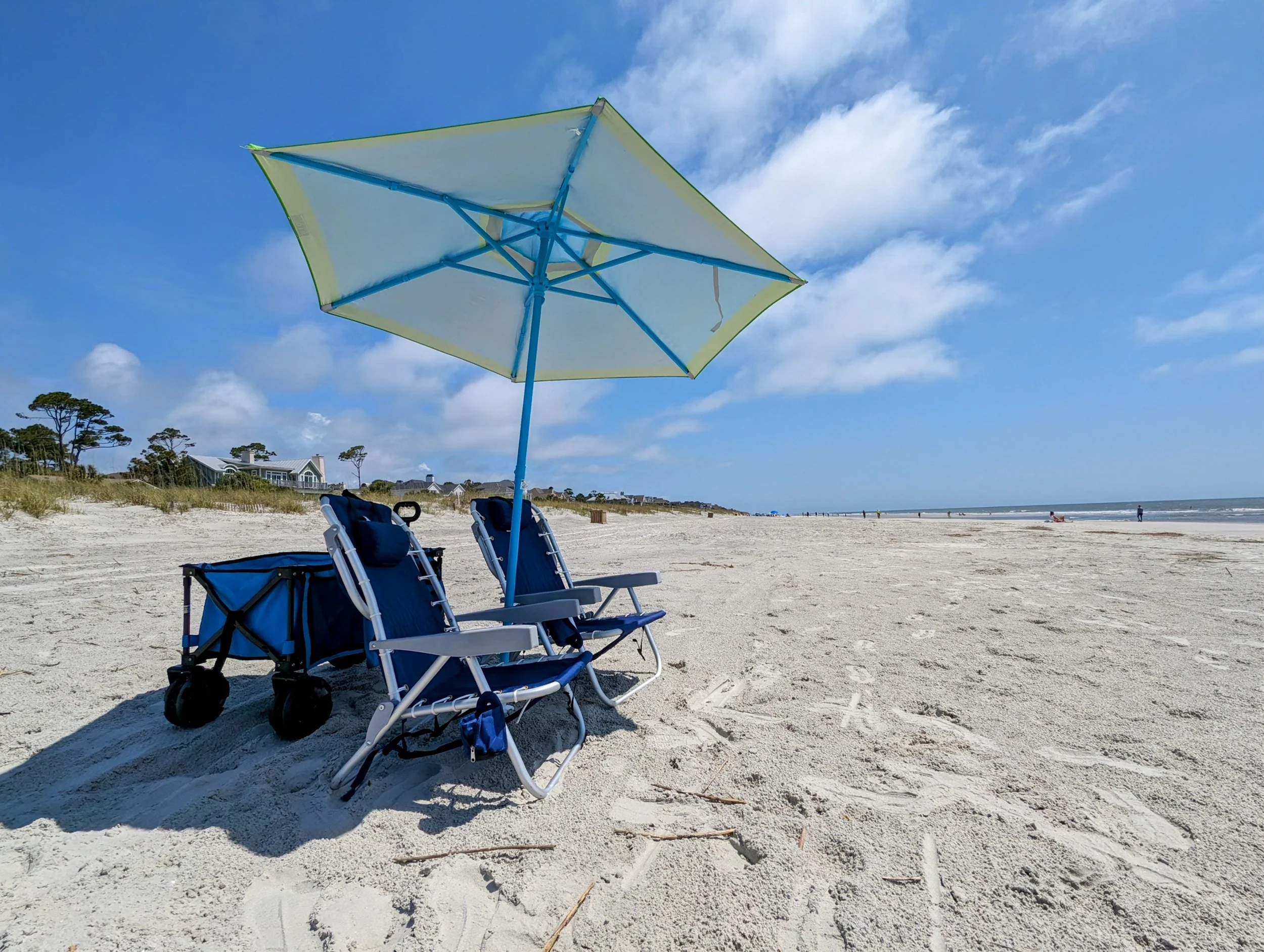 Island Life | Hilton Head Bike Rentals & Dolphin Tours