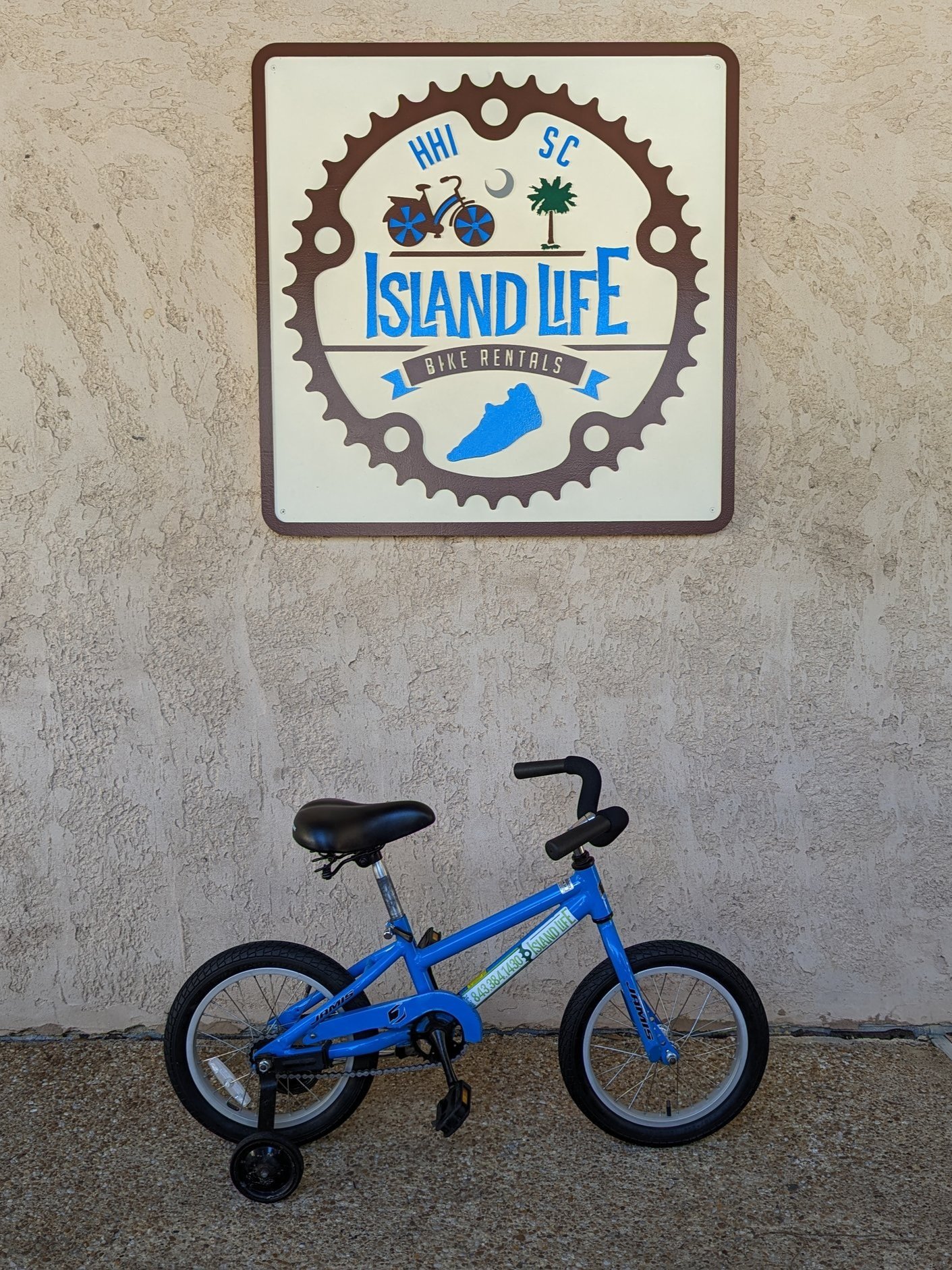 Island Life | Hilton Head Bike Rentals & Dolphin Tours