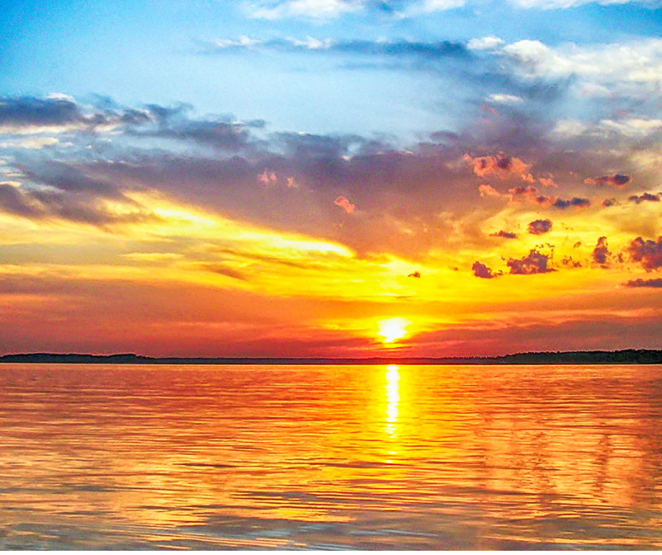 Sunset Dolphin Cruise