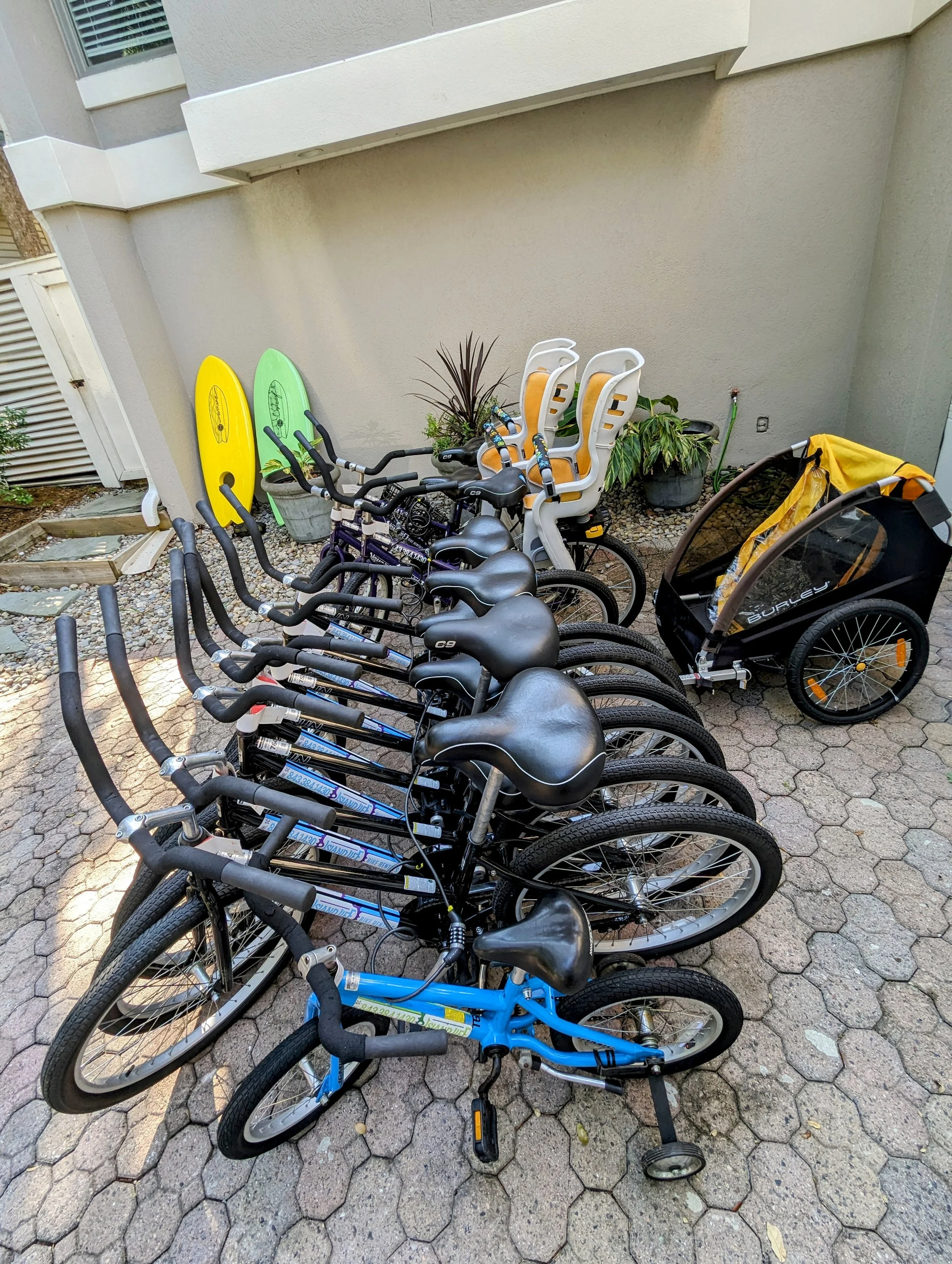 Hilton Head Bike Rentals & Dolphin Tours | Island Life