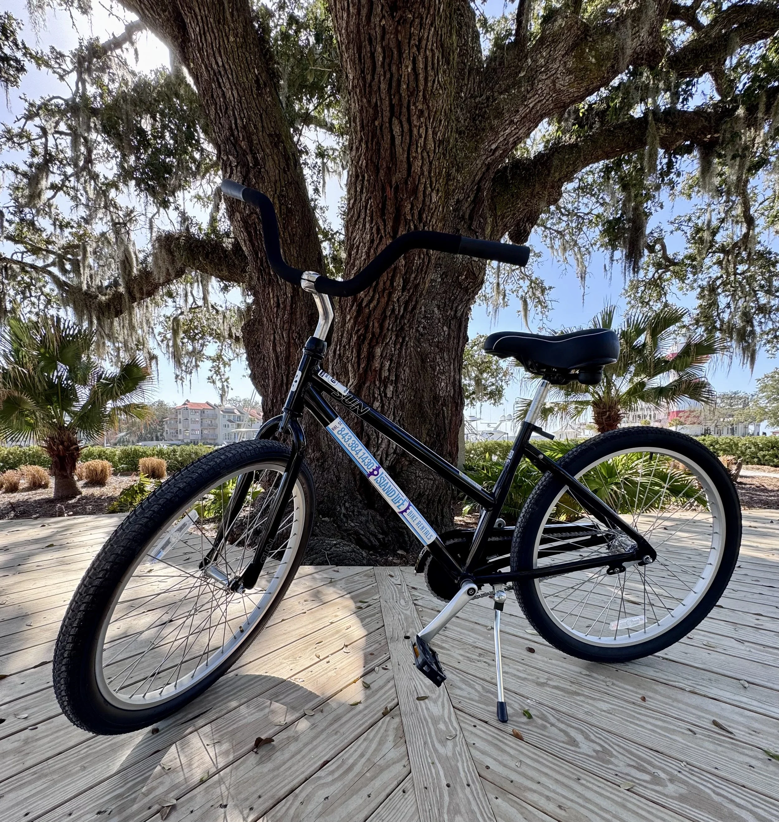26 inch beach cruiser rental