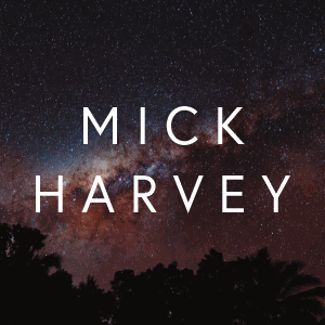 Pink Elephants Lyrics — Mick Harvey