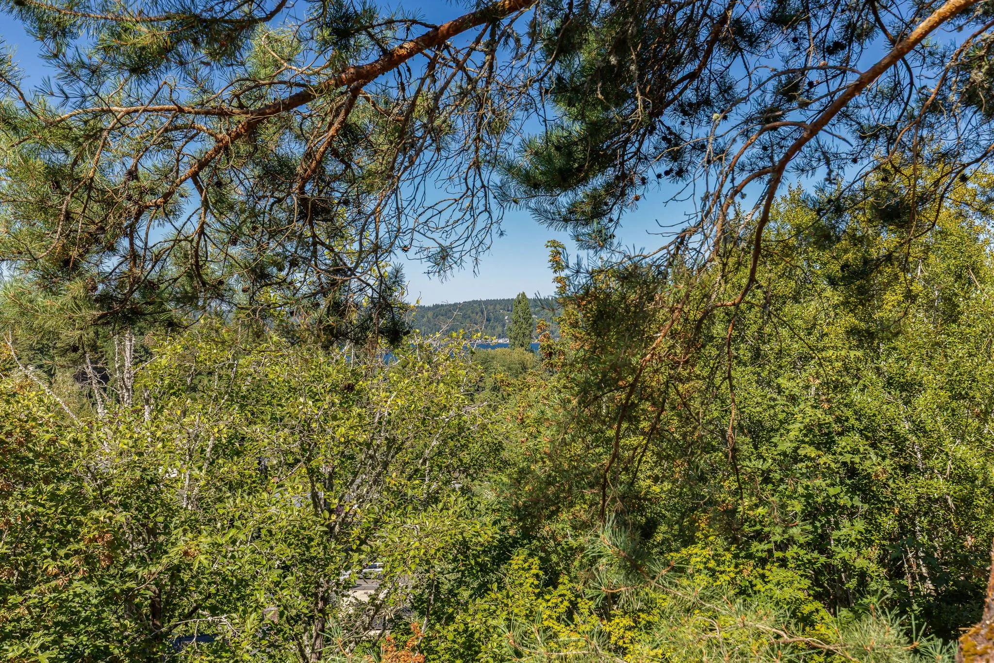 4660 NE 89th St, Seattle WA_0064.jpg