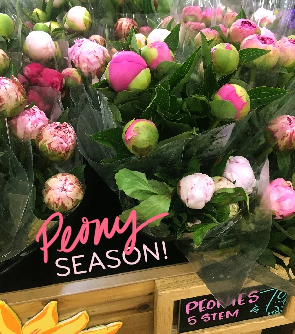 Peonies_TJs.jpg