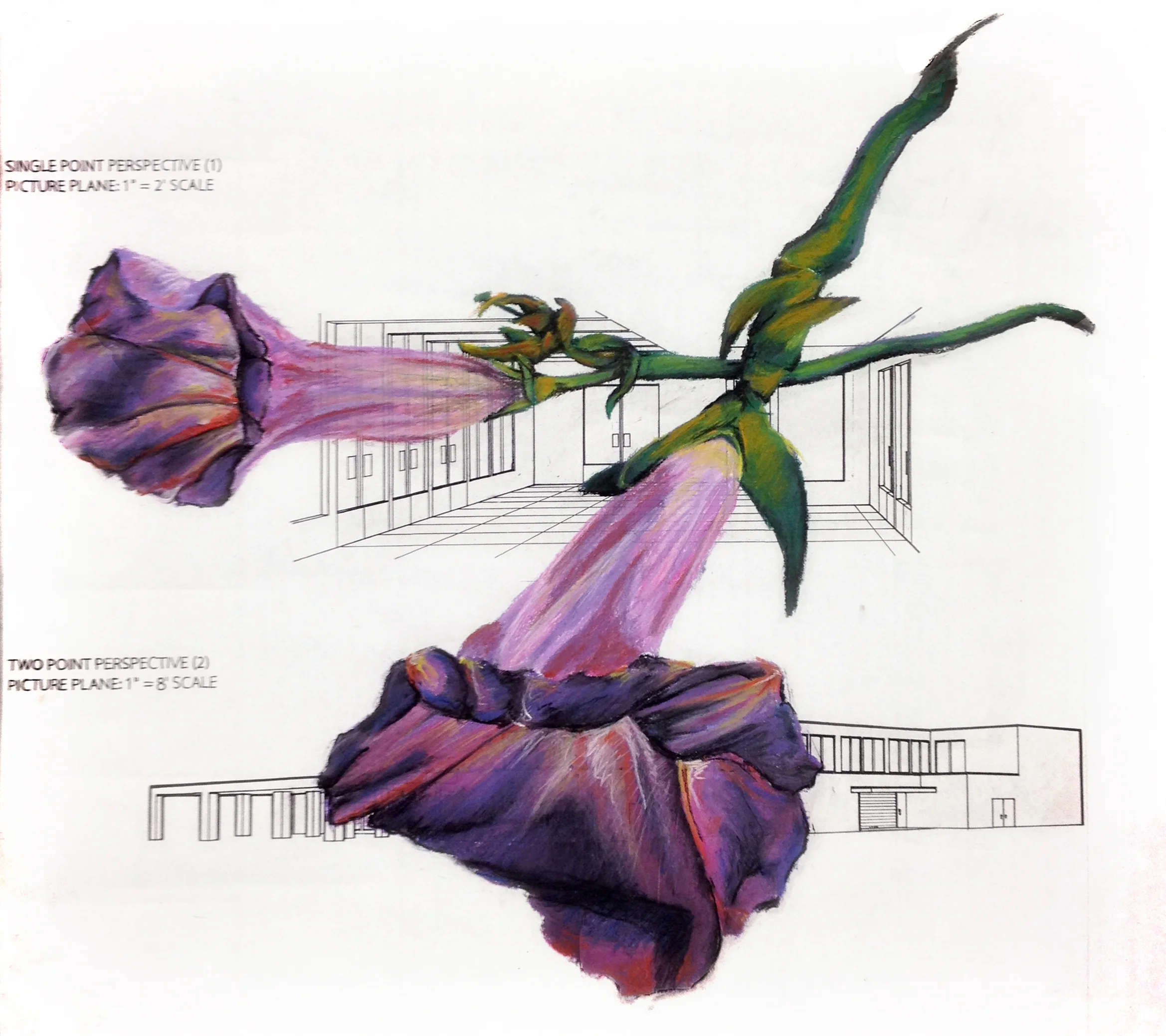 2 Flowers on Plans.JPG