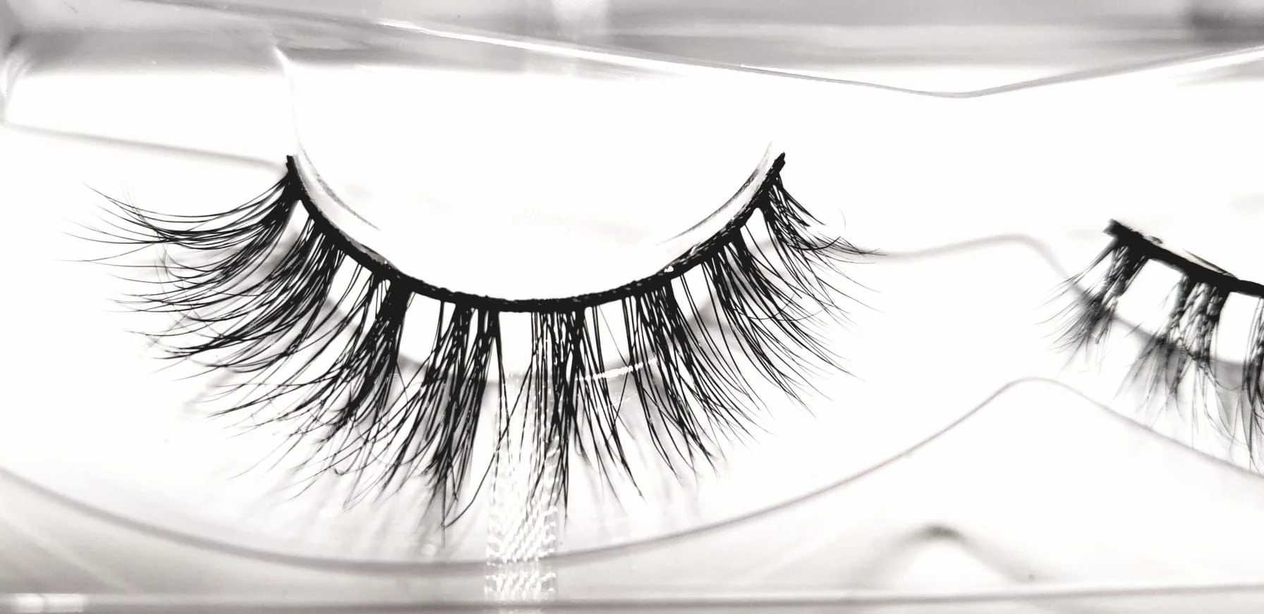 WhatsApp Image 2022-01-12 at 3.02.12 PM.jpeg