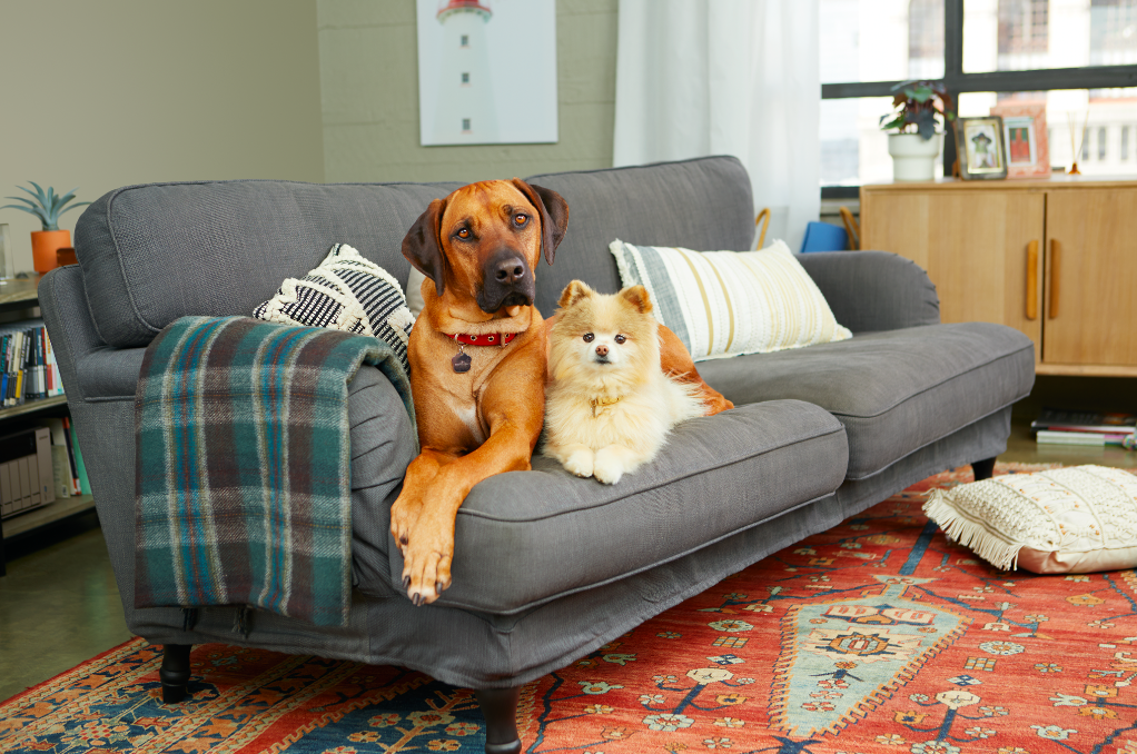 Screen Shot 2019-06-04 at 4.15.25 PM.png