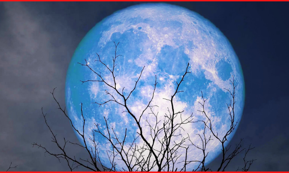 blue moon sag 1.png