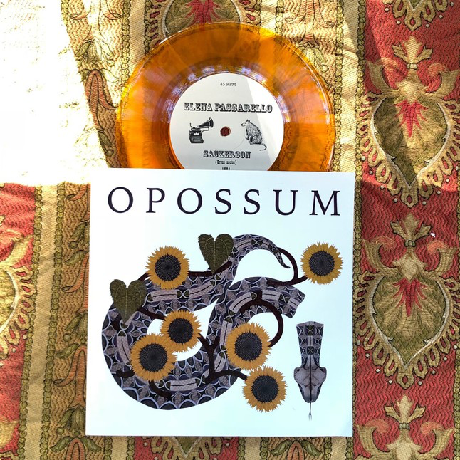 Opposum Fall 2017.png