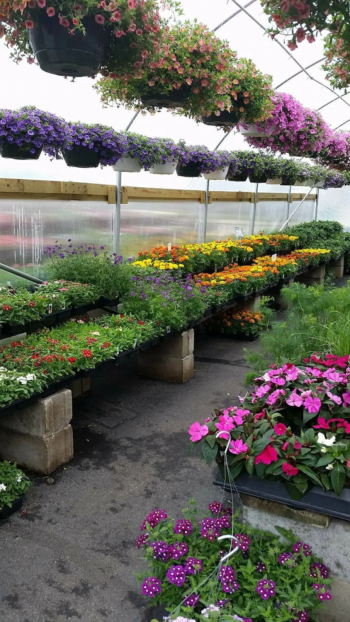 Flowers15.jpg