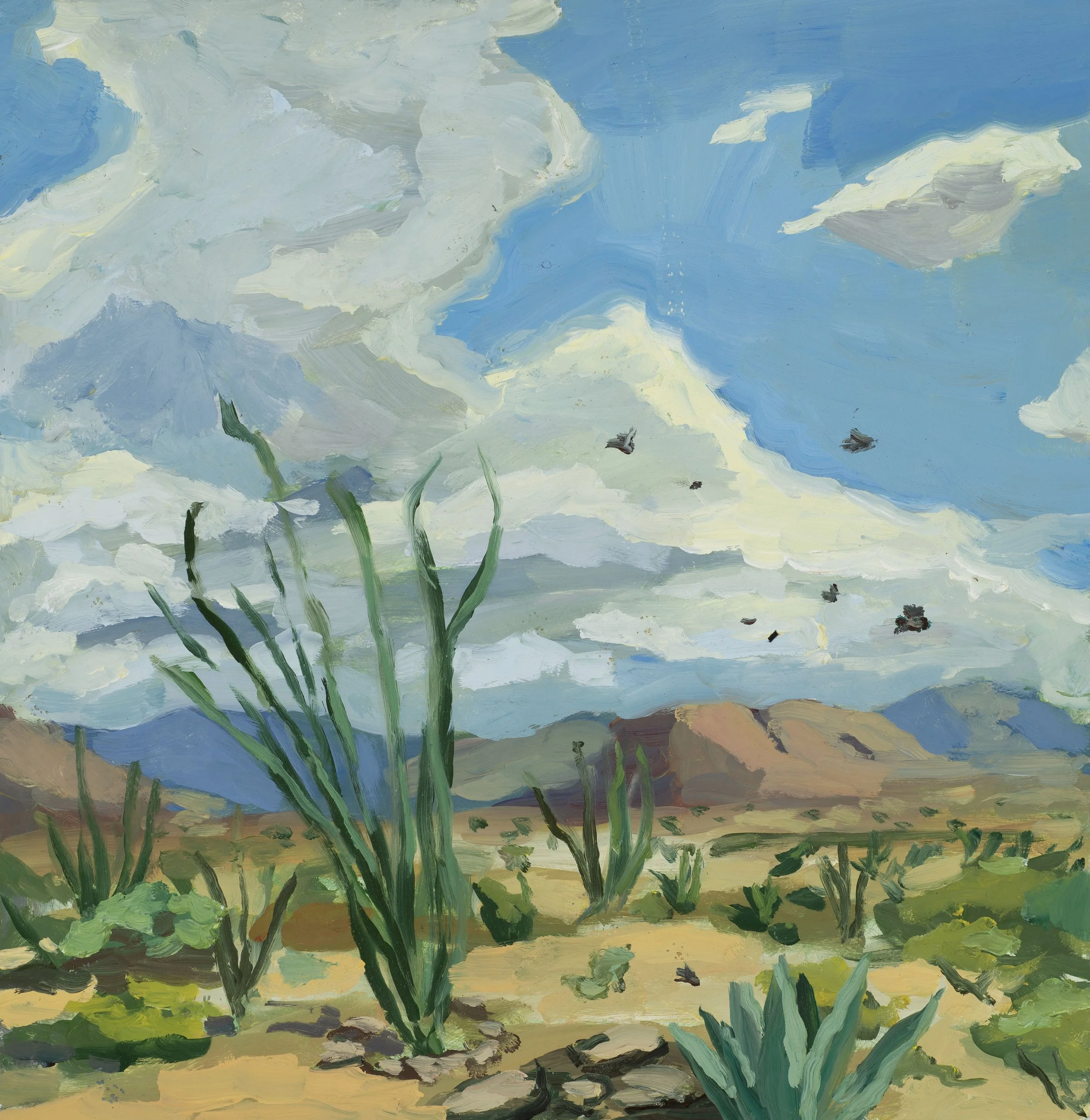 Desert.JPEG