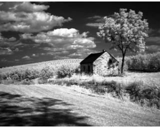 81040011_RolleiInfraredSample.jpg