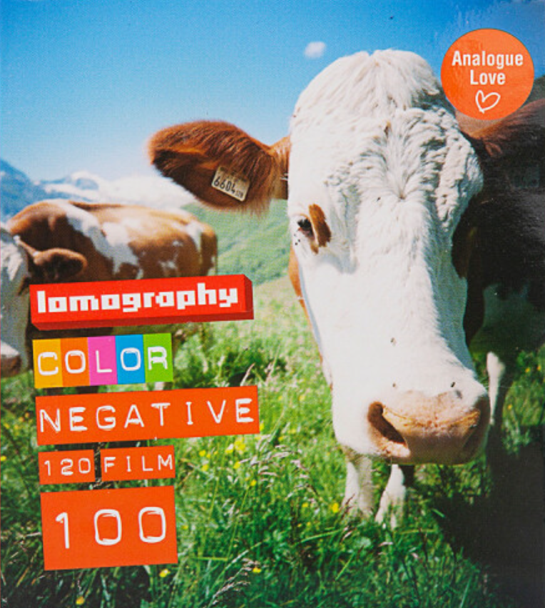 Lomo Cn100 Lomo 100 120 Lomography Color 100 A Brief - Main Image