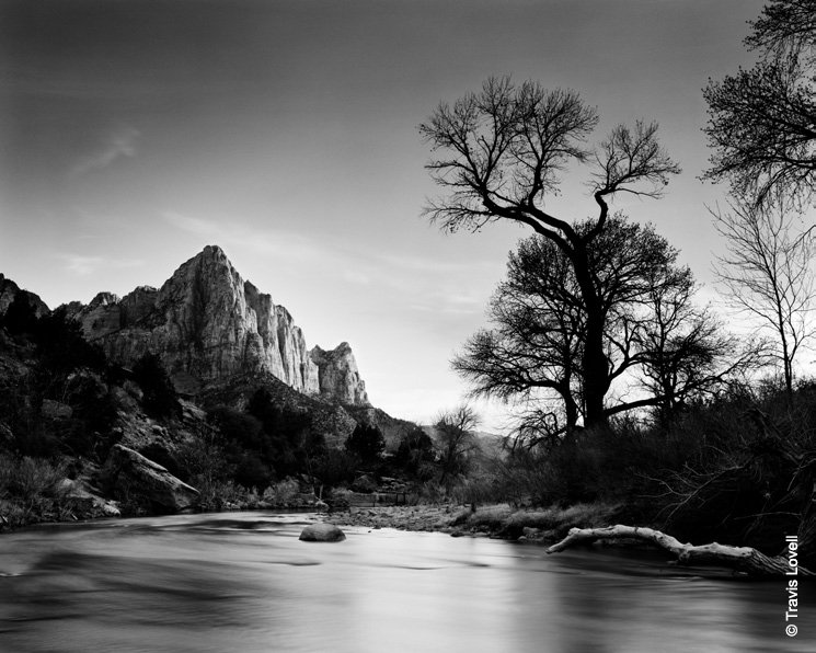1006873-tmax-100_sample-01.jpg