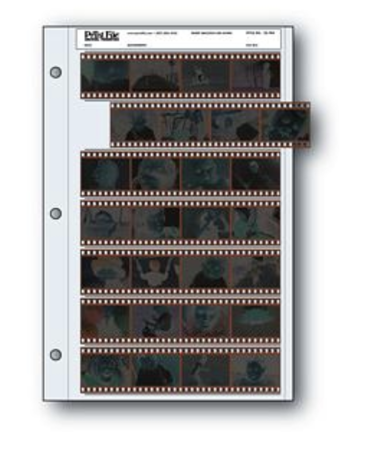 Screenshot 2026-03-12 at 11.46.56 AM.png