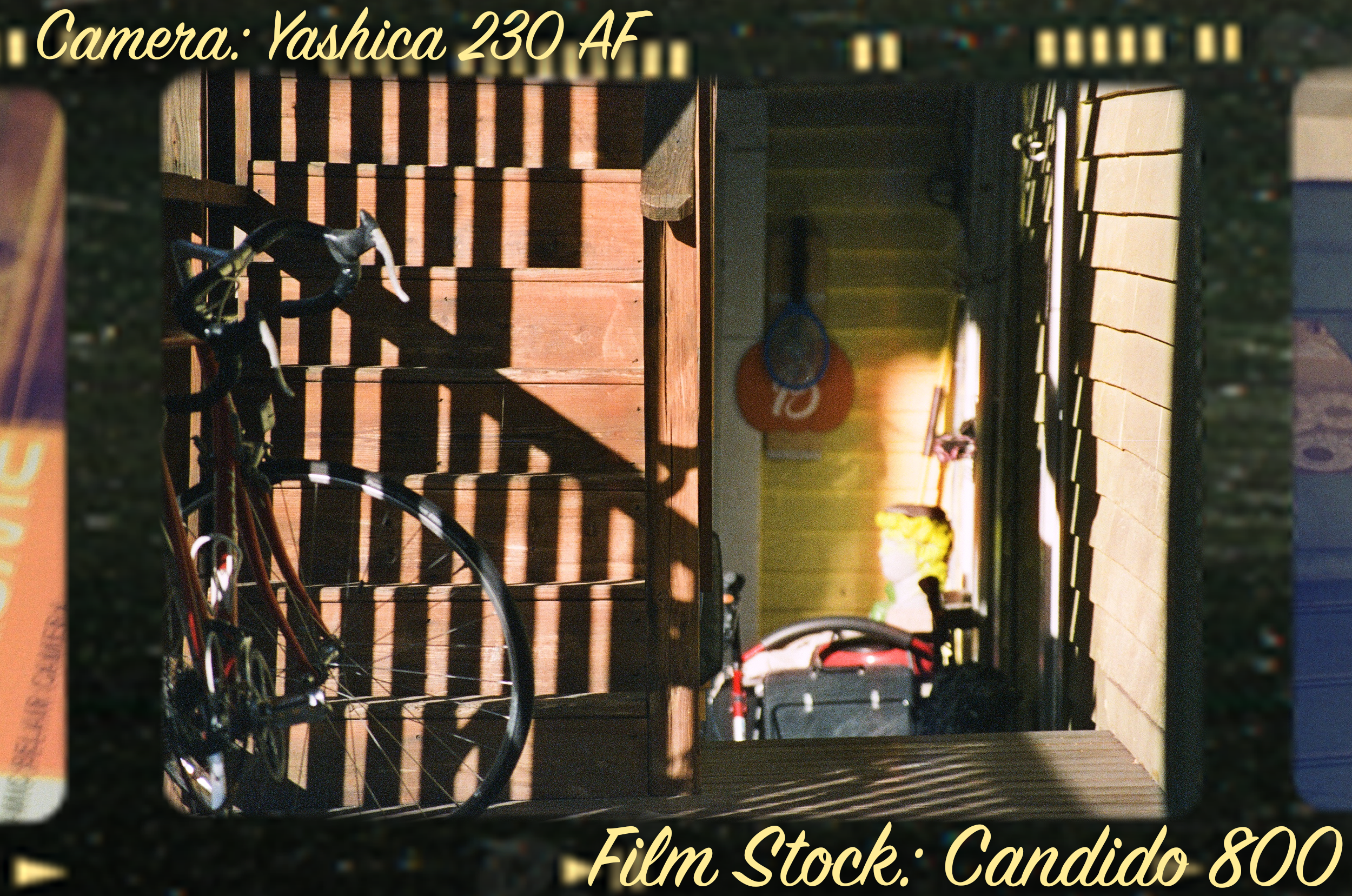 Yashica230AF_Candido800_ExamplePhoto_2.png